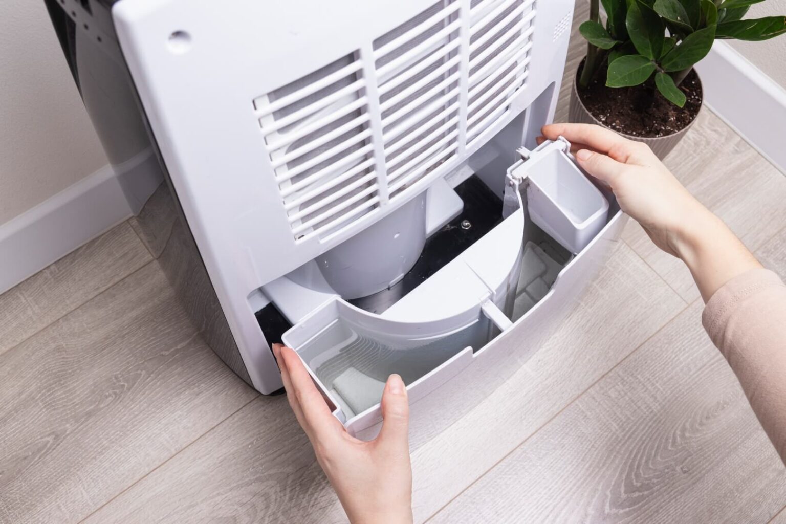 A person removes the water tank from a white dehumidifier on a light wood floor near a green potted plant—an everyday moment after a Dehumidifier Install San Diego.