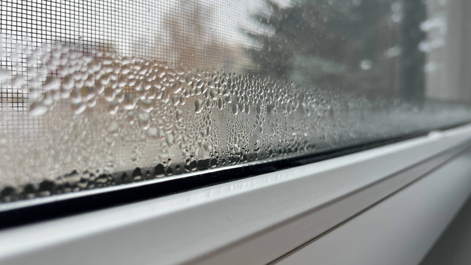 Close-up of water droplets forming condensation on the inside of a window, with an outdoor scene blurred in the background and a mesh screen visible—a reminder of why Dehumidifier Install San Diego services are in demand. Photo taken at an angle along the window edge.