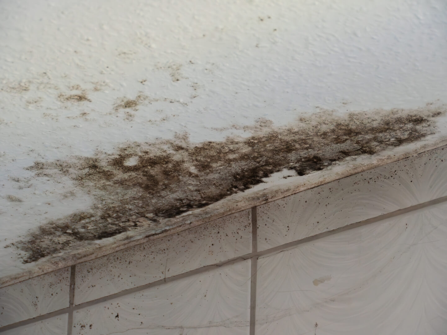 A section of a white ceiling above tiled walls shows extensive black mold and mildew growth, indicating moisture damage; consider a Dehumidifier Install San Diego to prevent further issues.