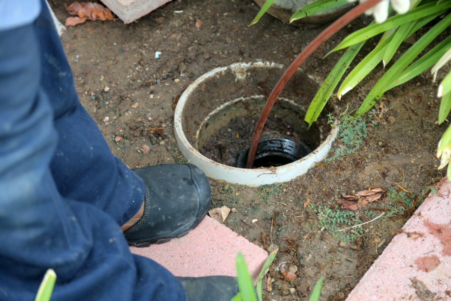 A person stands next to an exposed outdoor drain pipe with a hose inserted into it, surrounded by soil, paving stones, and plants—an everyday scene in sewer line repair San Diego homeowners might encounter.